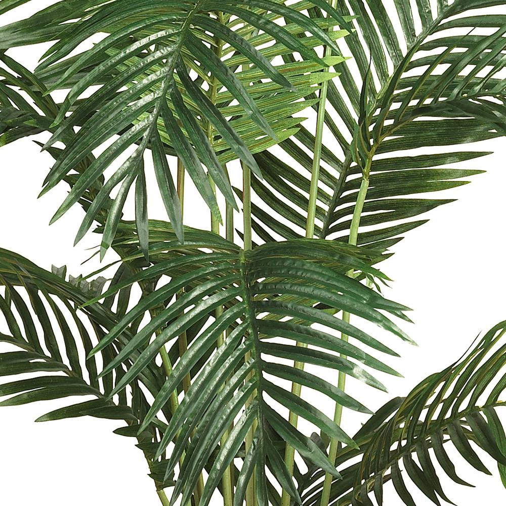 6ft. Paradise Palm. Picture 4