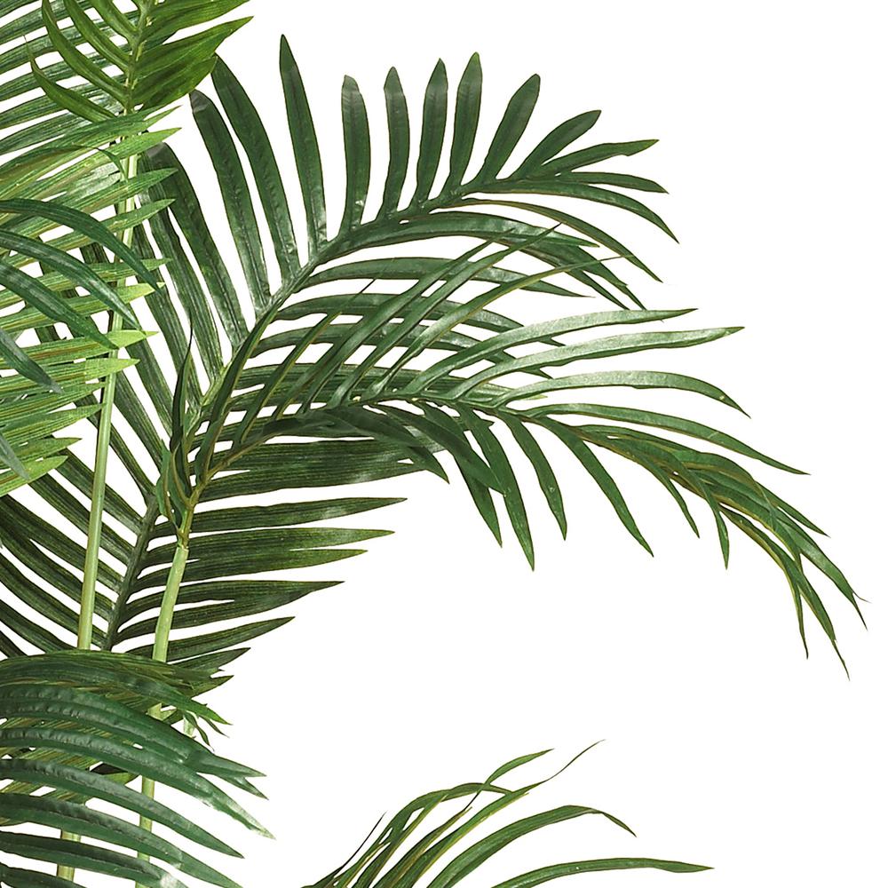 6ft. Paradise Palm. Picture 5