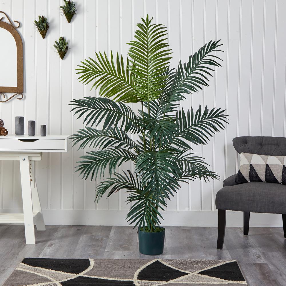 6ft. Paradise Palm. Picture 2