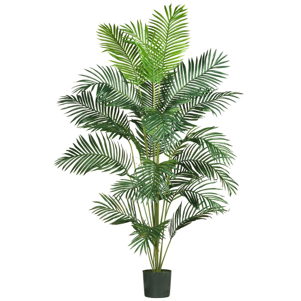 7ft. Paradise Palm. Picture 1
