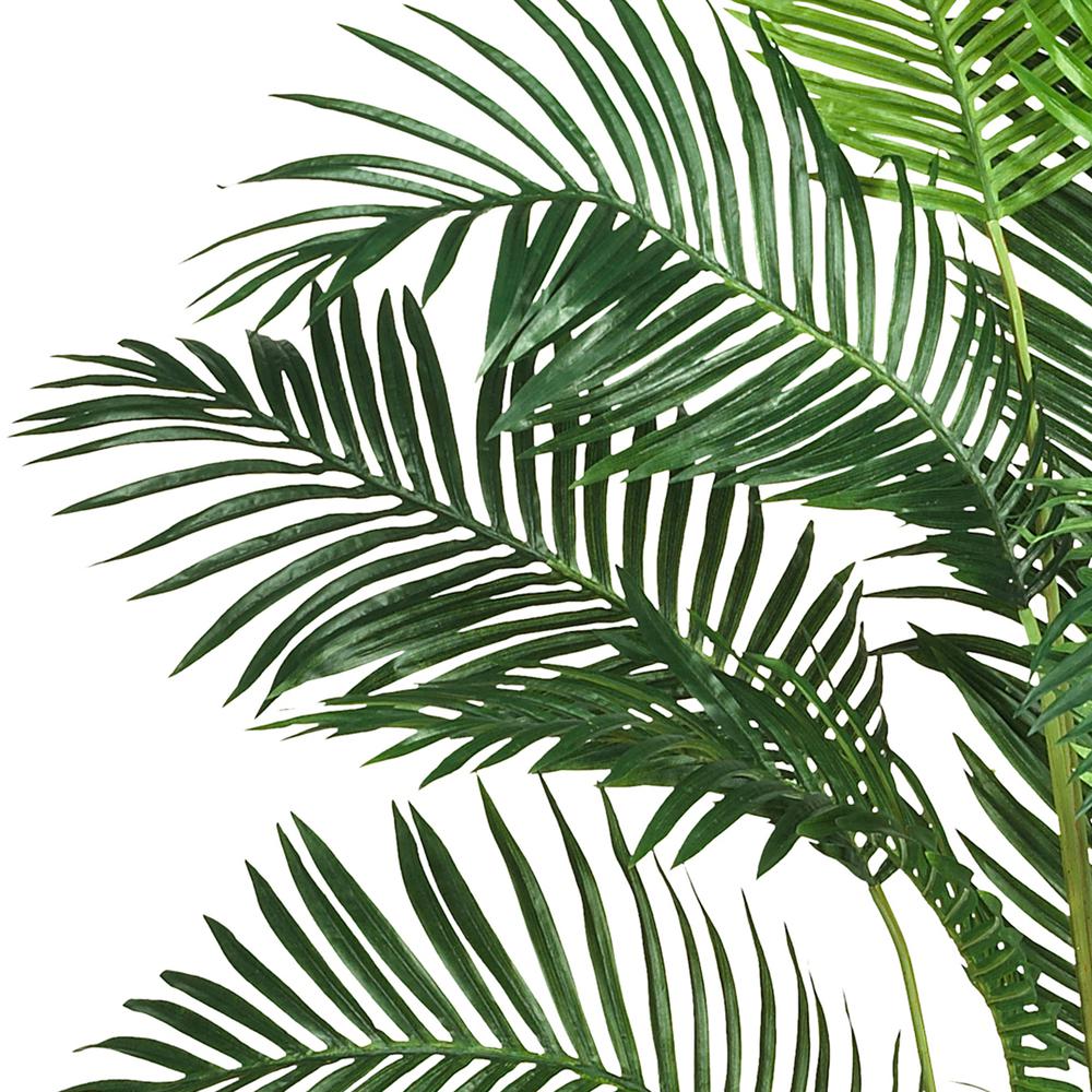 7ft. Paradise Palm. Picture 2