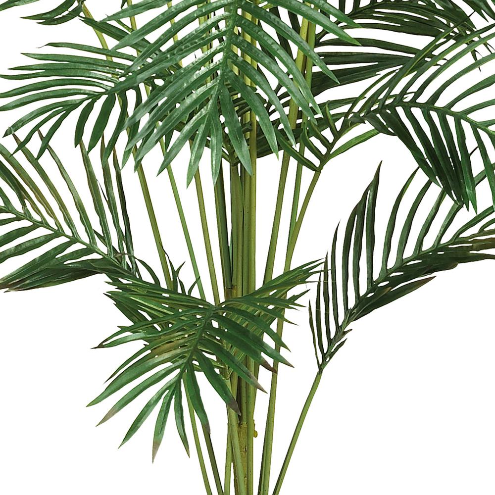 7ft. Paradise Palm. Picture 3