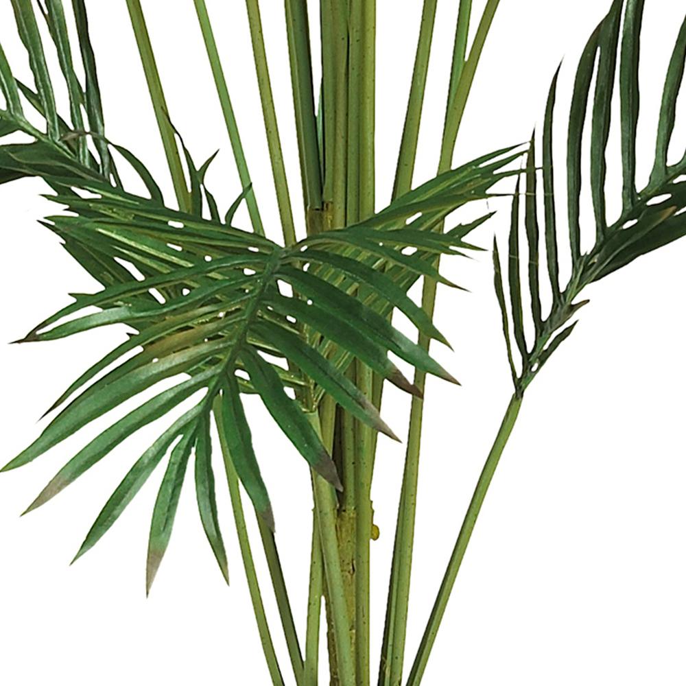 7ft. Paradise Palm. Picture 4