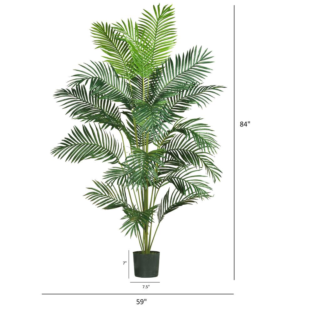 7ft. Paradise Palm. Picture 5