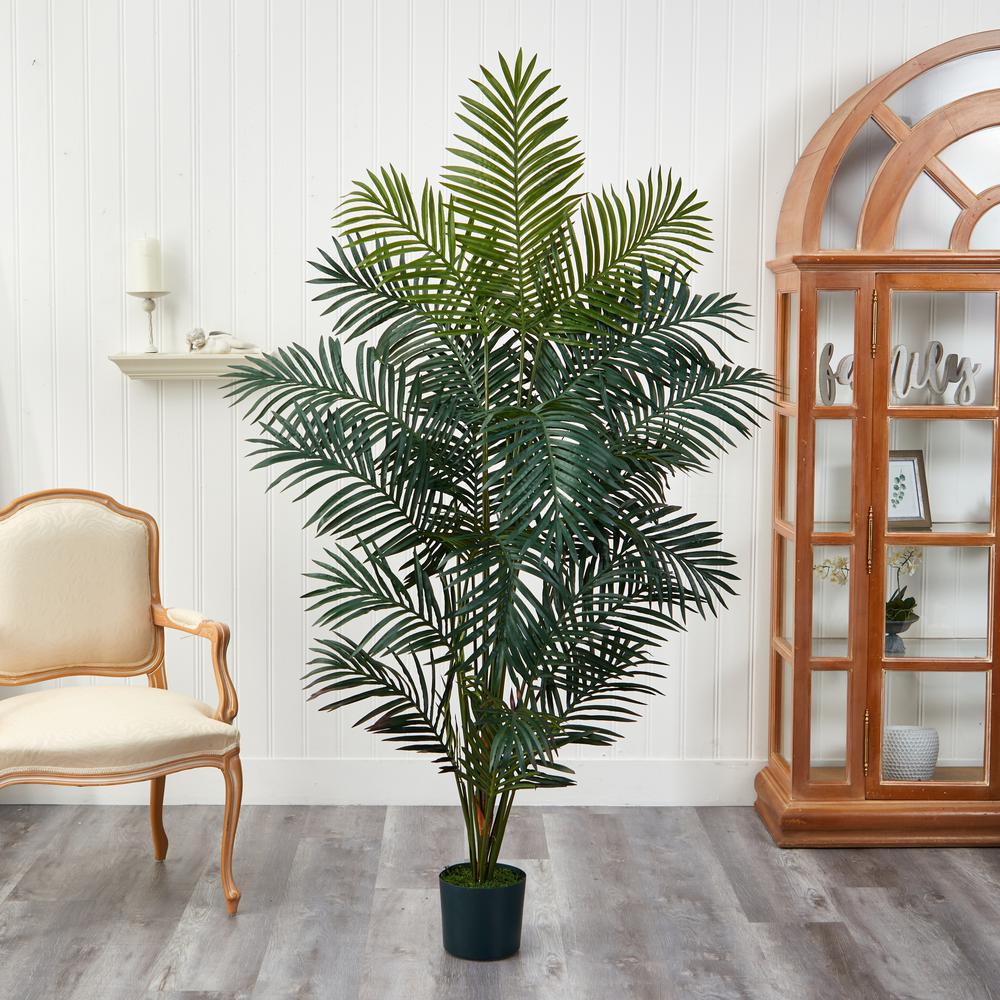 7ft. Paradise Palm. Picture 9