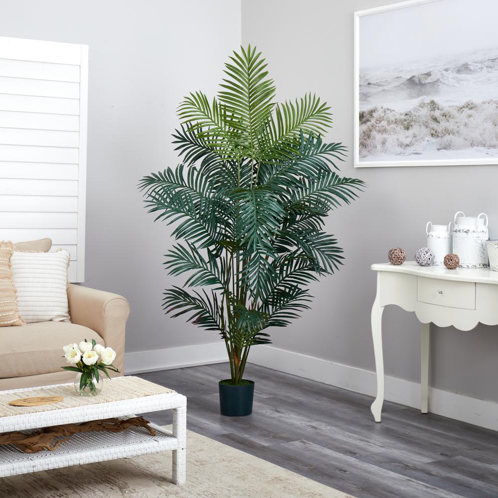 7ft. Paradise Palm. Picture 6