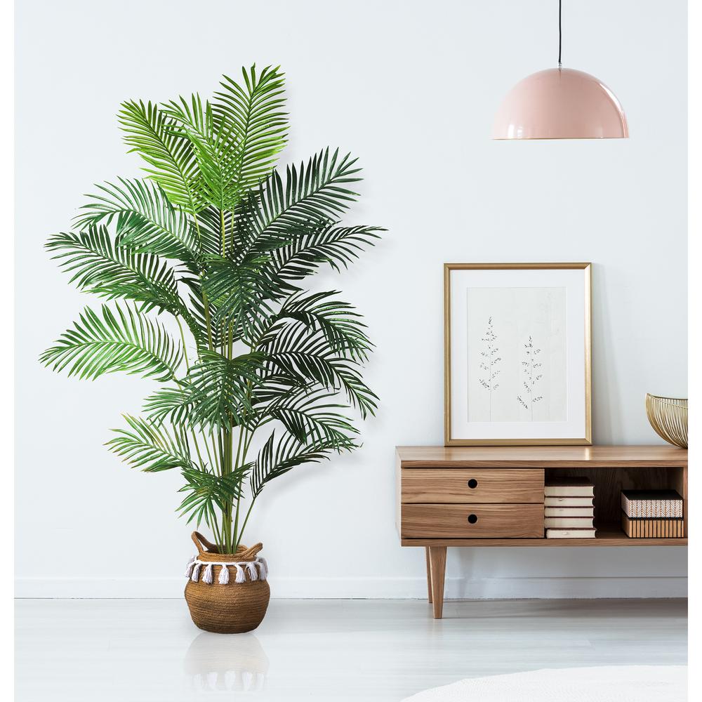 7ft. Paradise Palm. Picture 7