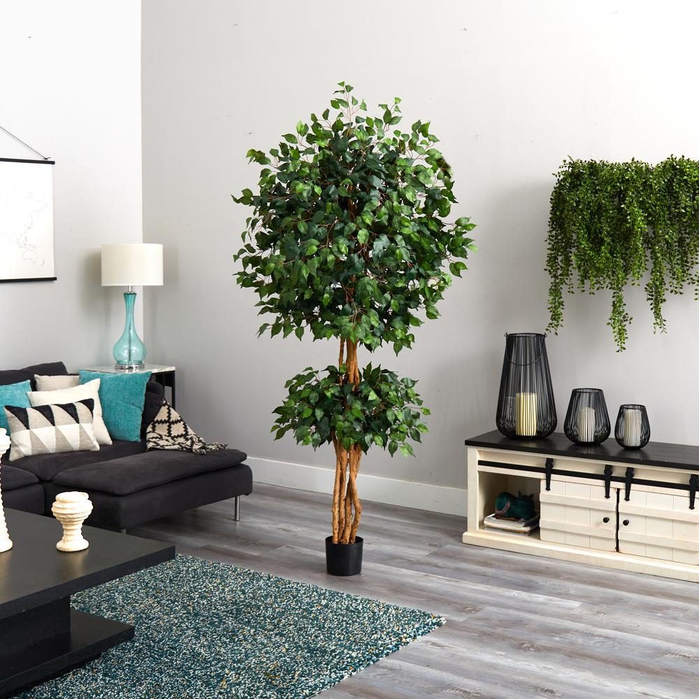 6ft. Double Ball Ficus Silk Tree. Picture 4