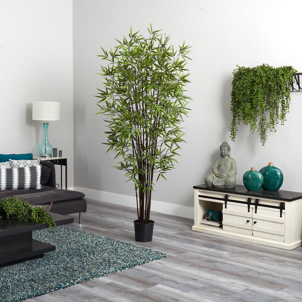 6.5ft. Black Bamboo Silk Tree. Picture 2