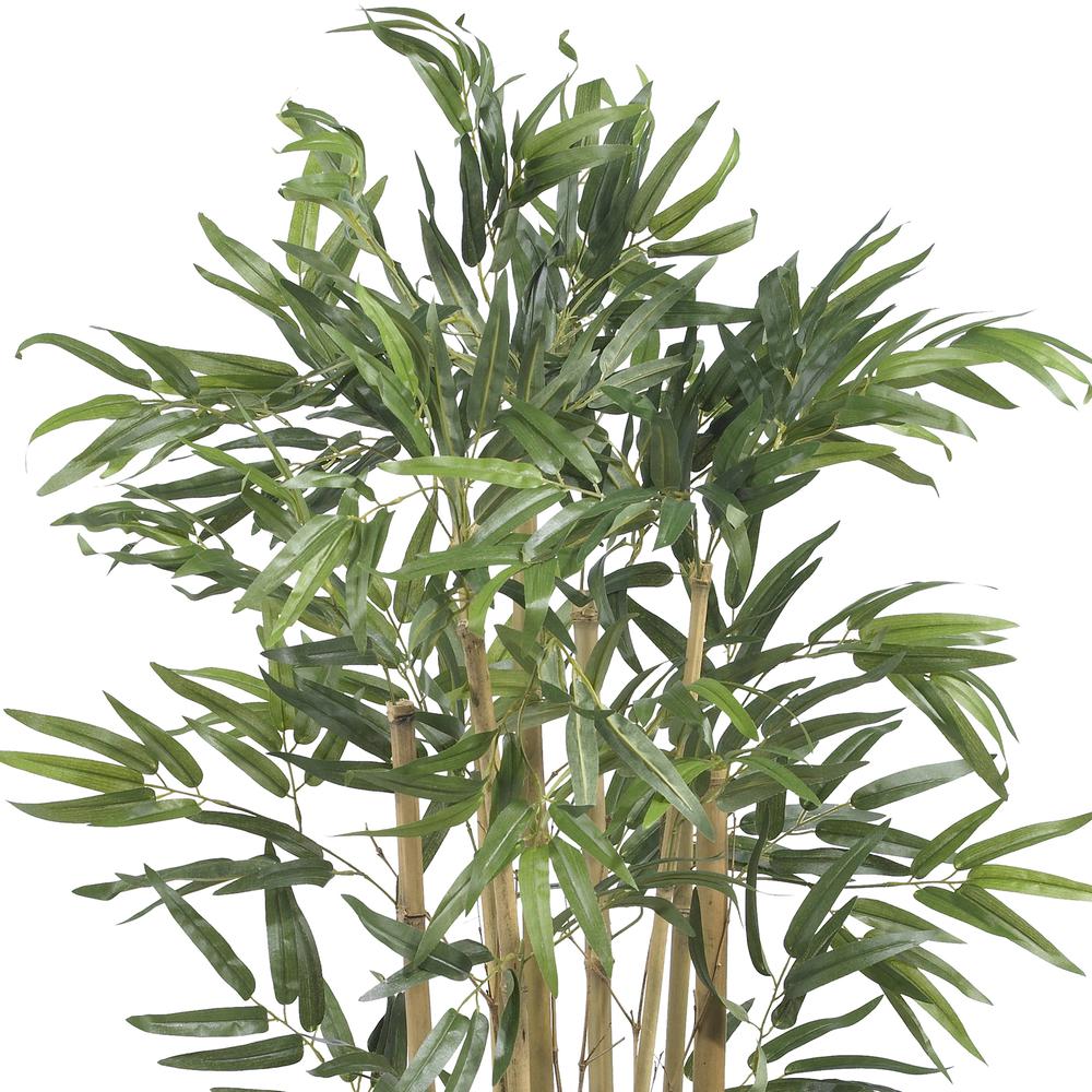 3ft. Multi Bambusa Bamboo Silk Tree. Picture 3