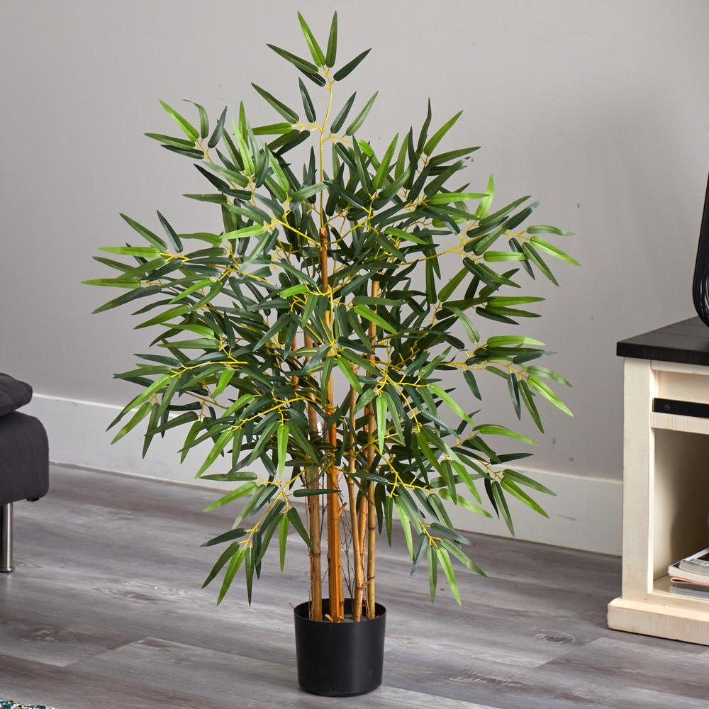 3ft. Multi Bambusa Bamboo Silk Tree. Picture 4