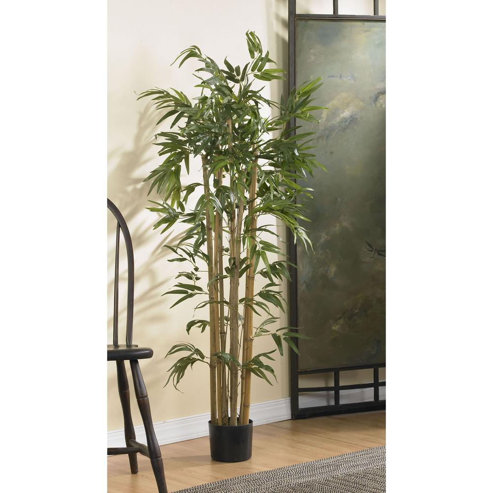4ft. Multi Bambusa Bamboo Silk Tree. Picture 4