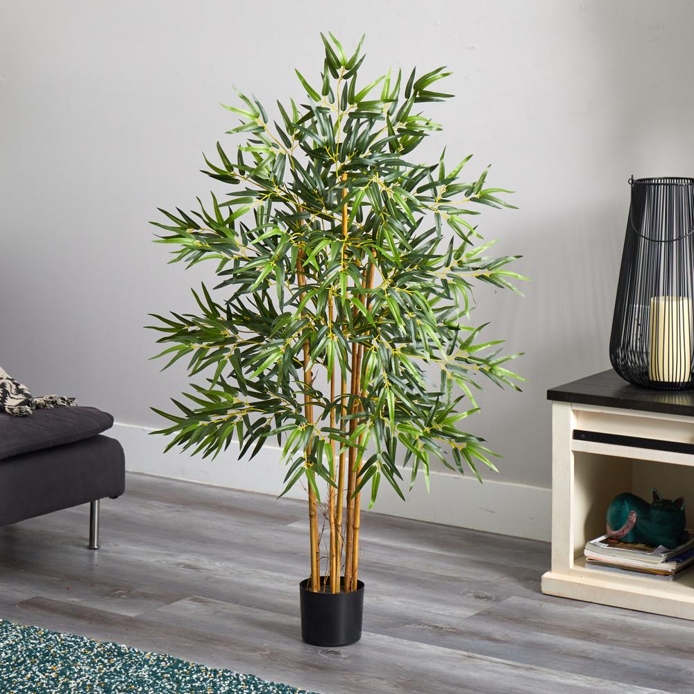 4ft. Multi Bambusa Bamboo Silk Tree. Picture 2