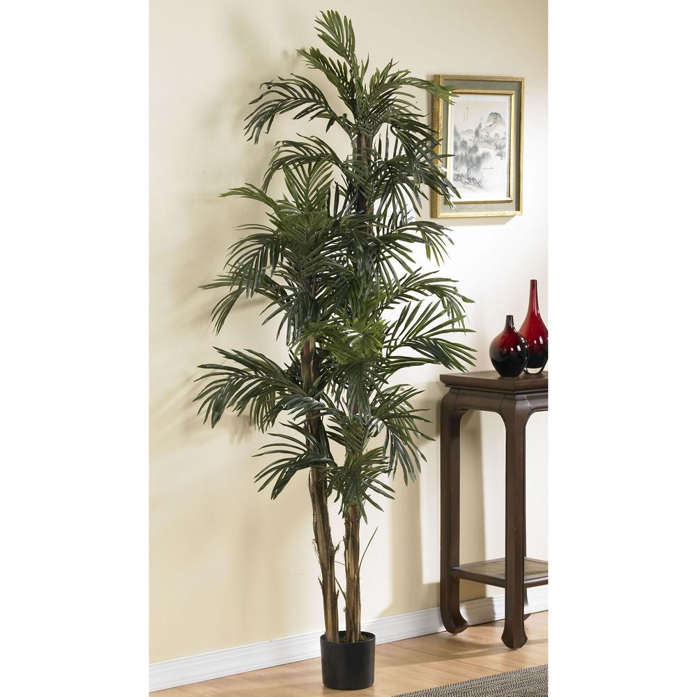 6ft. Robellini Palm Silk Tree. Picture 3