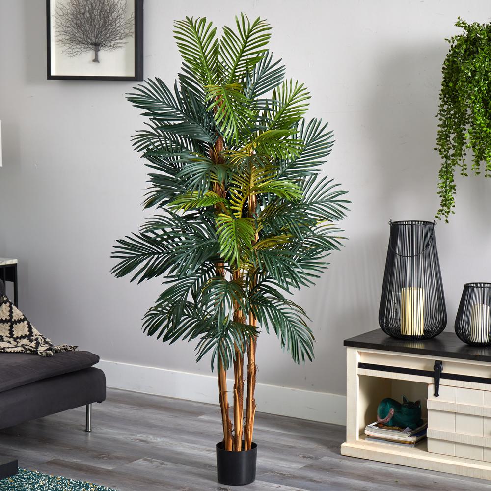 6ft. Robellini Palm Silk Tree. Picture 2