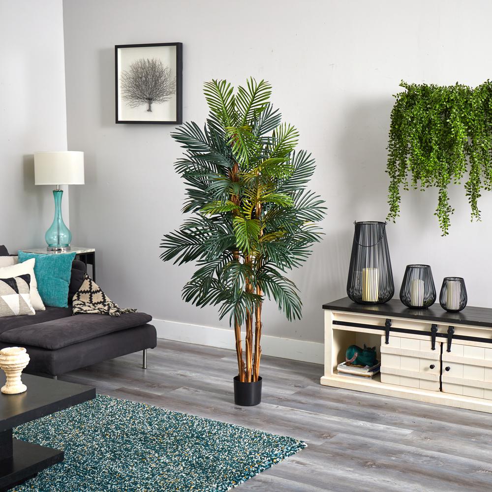 6ft. Robellini Palm Silk Tree. Picture 4