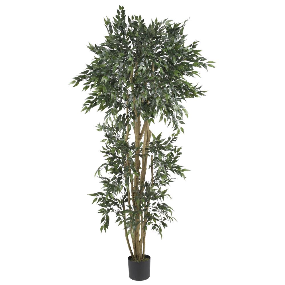 6ft. Green Ash Silk Tree. Picture 1