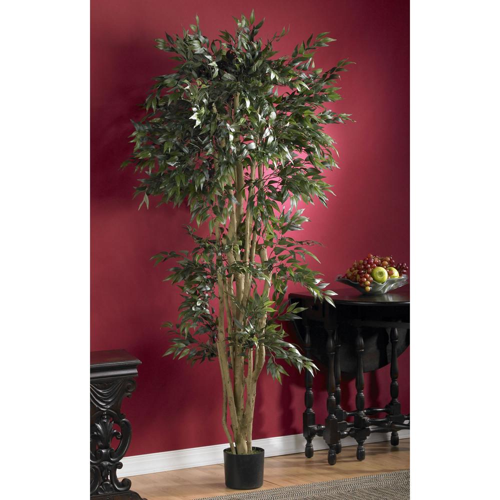6ft. Green Ash Silk Tree. Picture 2