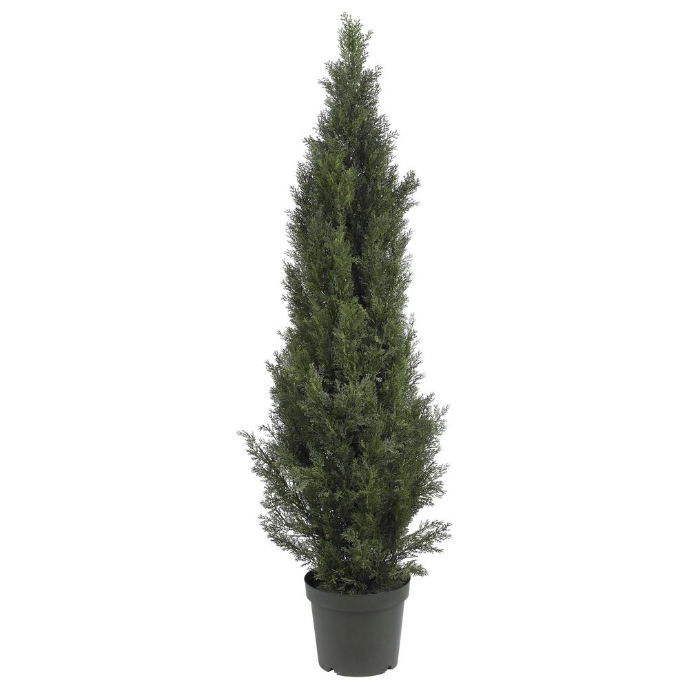 5ft. Mini Cedar Pine Tree (Indoor/Outdoor). Picture 1