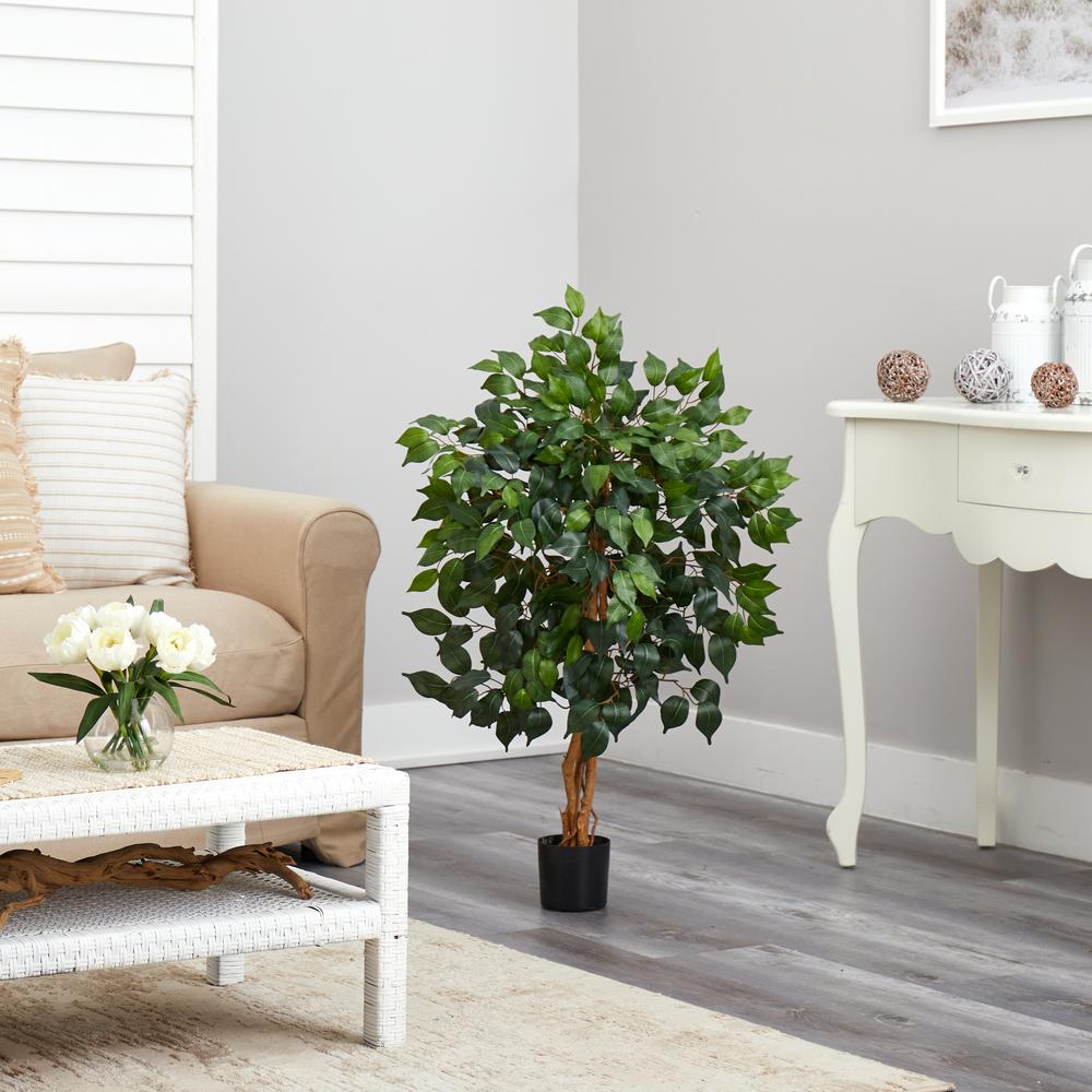 3ft. Ficus Silk Tree. Picture 5