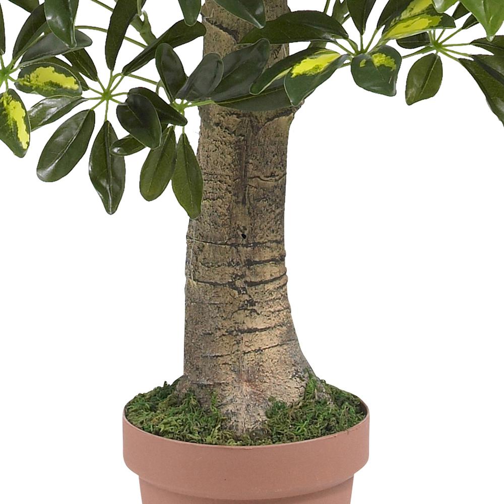 4ft. Schefflera Silk Tree (Real Touch). Picture 3