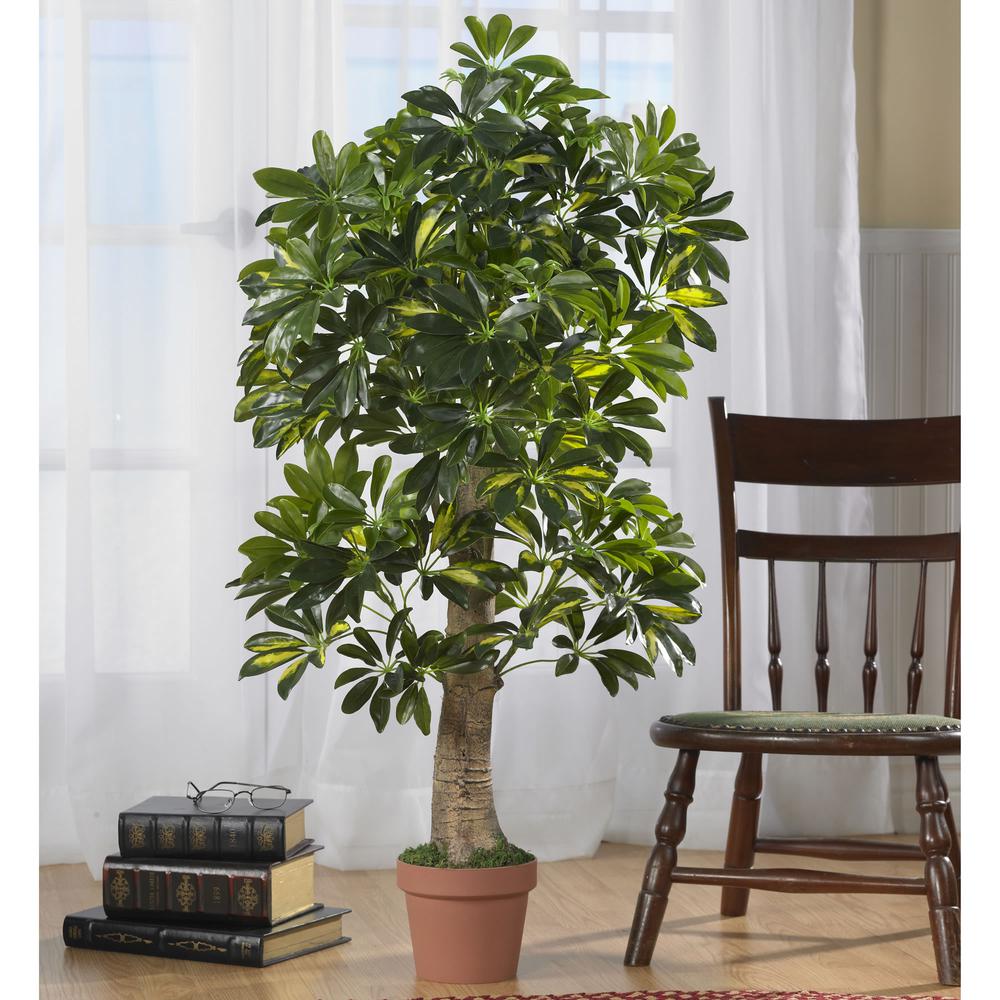 4ft. Schefflera Silk Tree (Real Touch). Picture 5