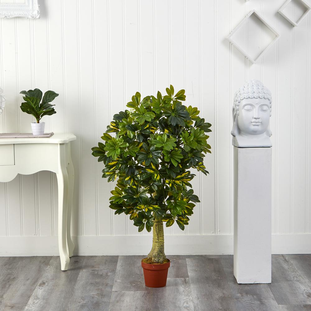 4ft. Schefflera Silk Tree (Real Touch). Picture 2