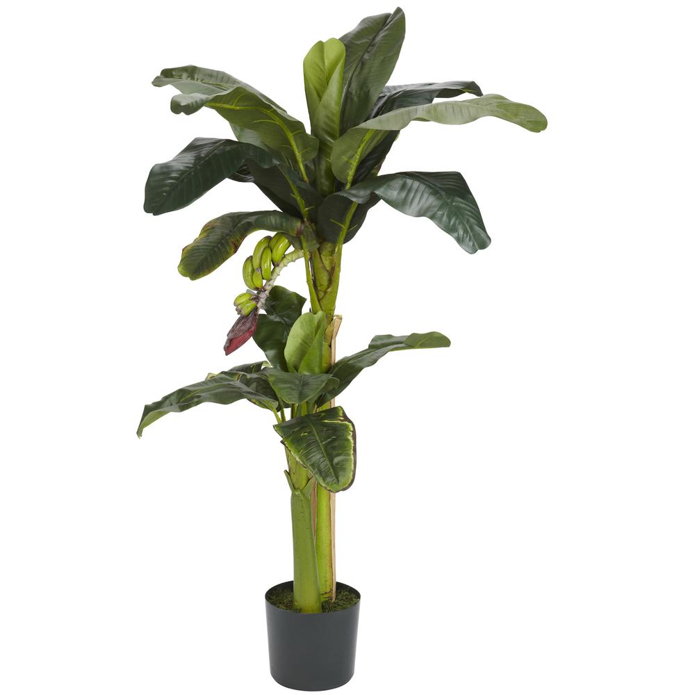 5ft. + 3ft. Banana Silk Tree with Bananas. Picture 1