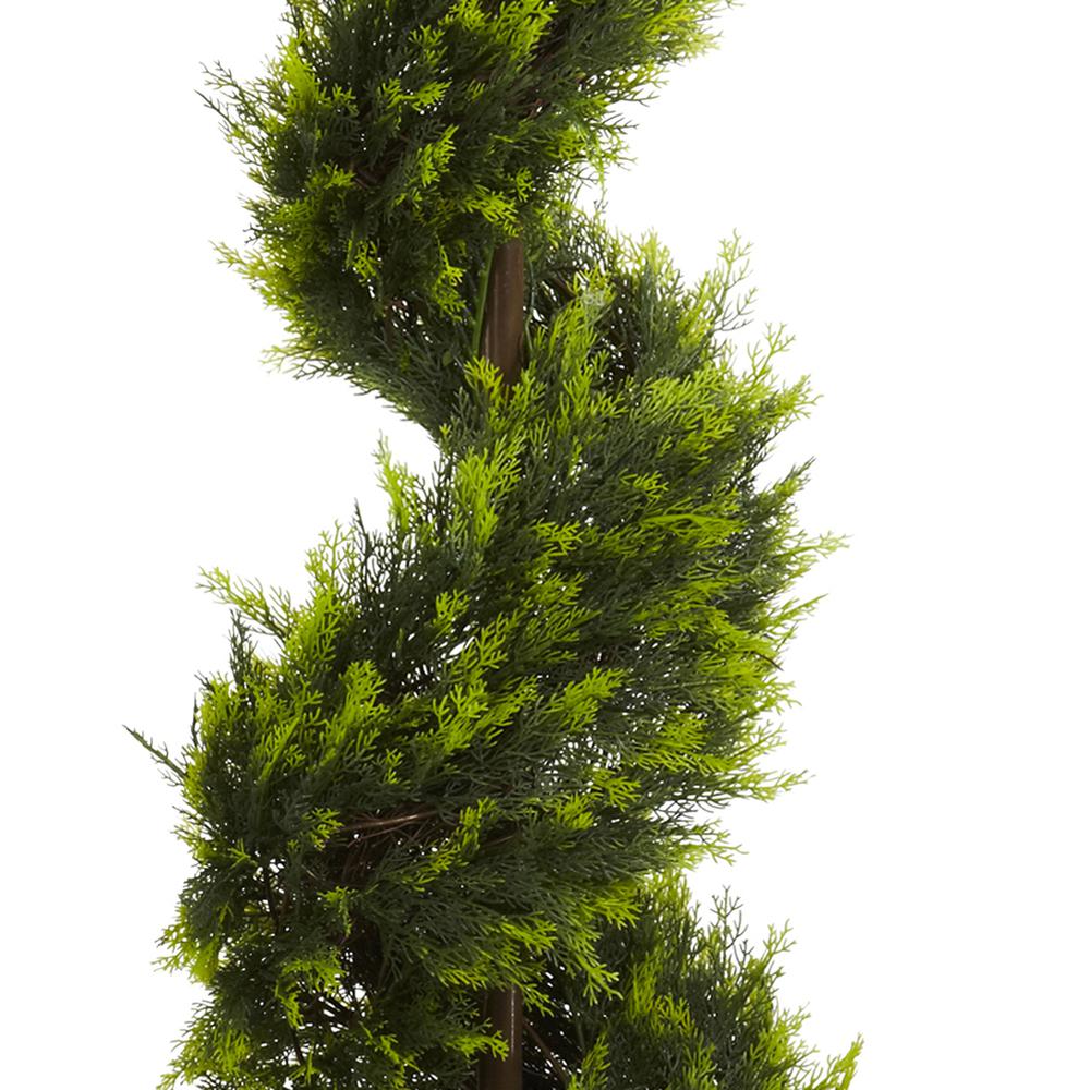 5ft. Cypress Spiral Tree. Picture 5