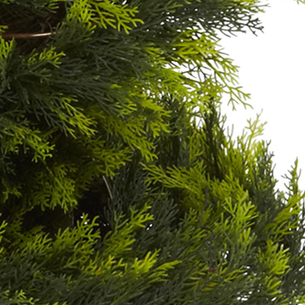 5ft. Cypress Spiral Tree. Picture 4