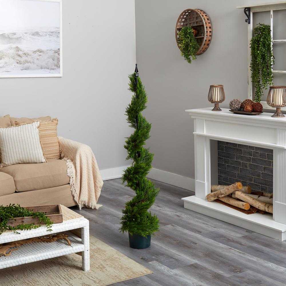 5ft. Cypress Spiral Tree. Picture 2