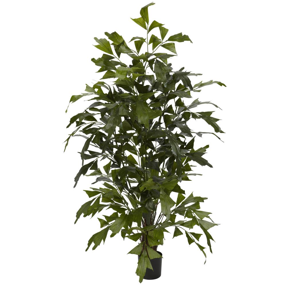 4.5ft. Fishtail Palm Silk Tree. Picture 1