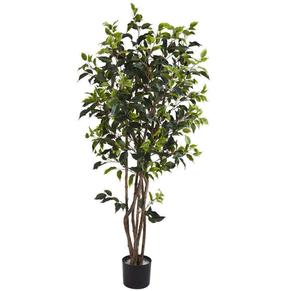 5ft. Ficus Bushy Silk Tree. Picture 1