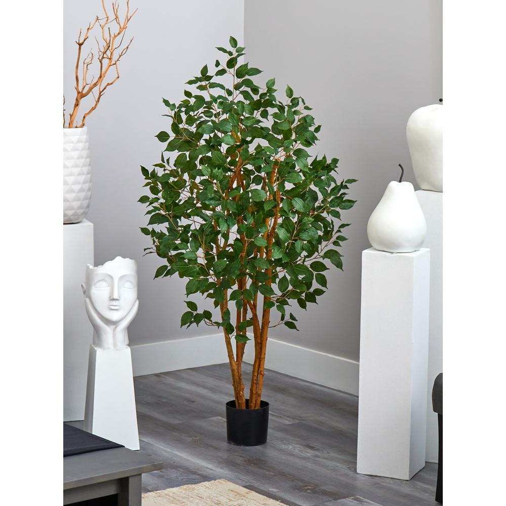 5ft. Ficus Bushy Silk Tree. Picture 3