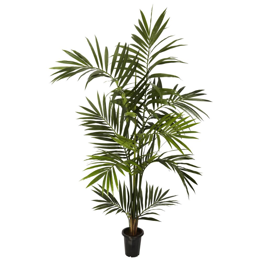 6ft. Kentia Palm Silk Tree, Green. Picture 1