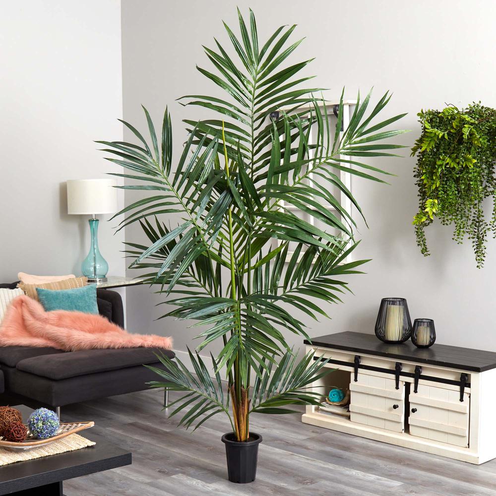 6ft. Kentia Palm Silk Tree, Green. Picture 3