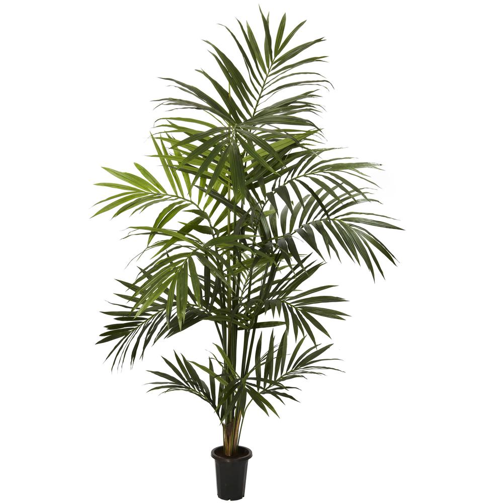 7ft. Kentia Palm Silk Tree. Picture 1