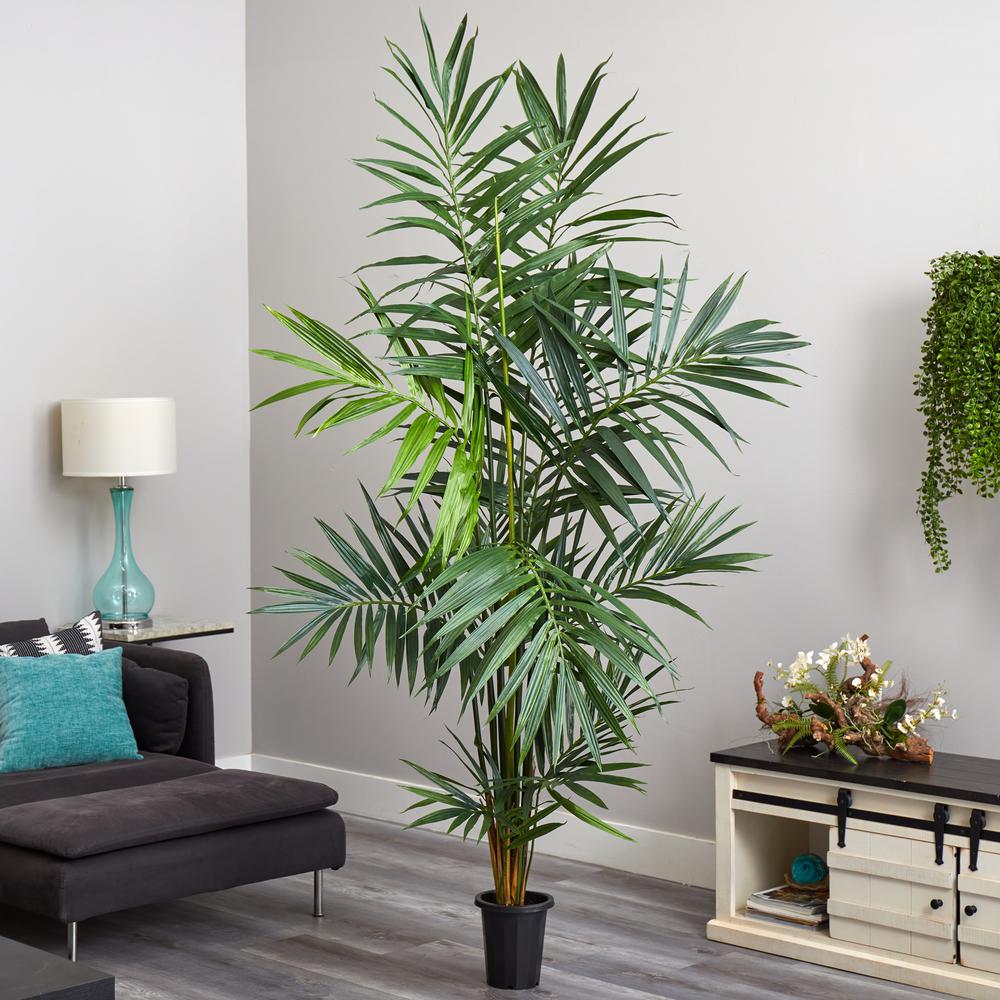 7ft. Kentia Palm Silk Tree. Picture 2