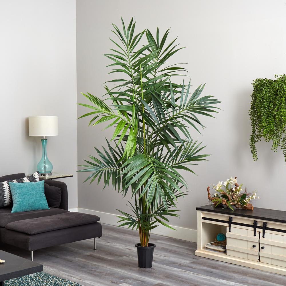 7ft. Kentia Palm Silk Tree. Picture 3