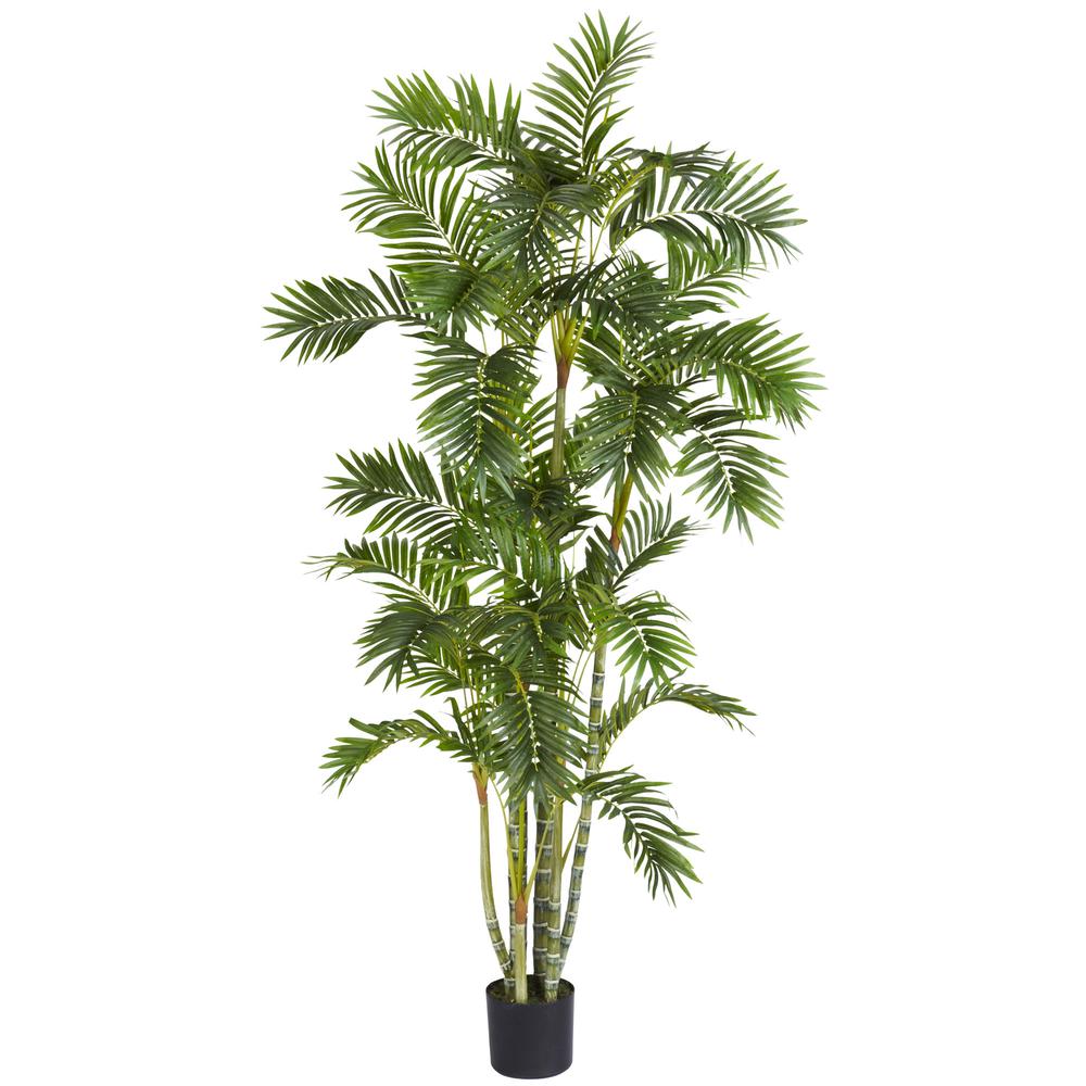 6ft. Areca Palm Silk Tree, Green. Picture 1