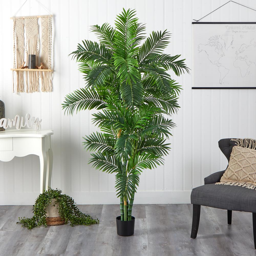 6ft. Curvy Parlor Palm Silk Tree. Picture 3