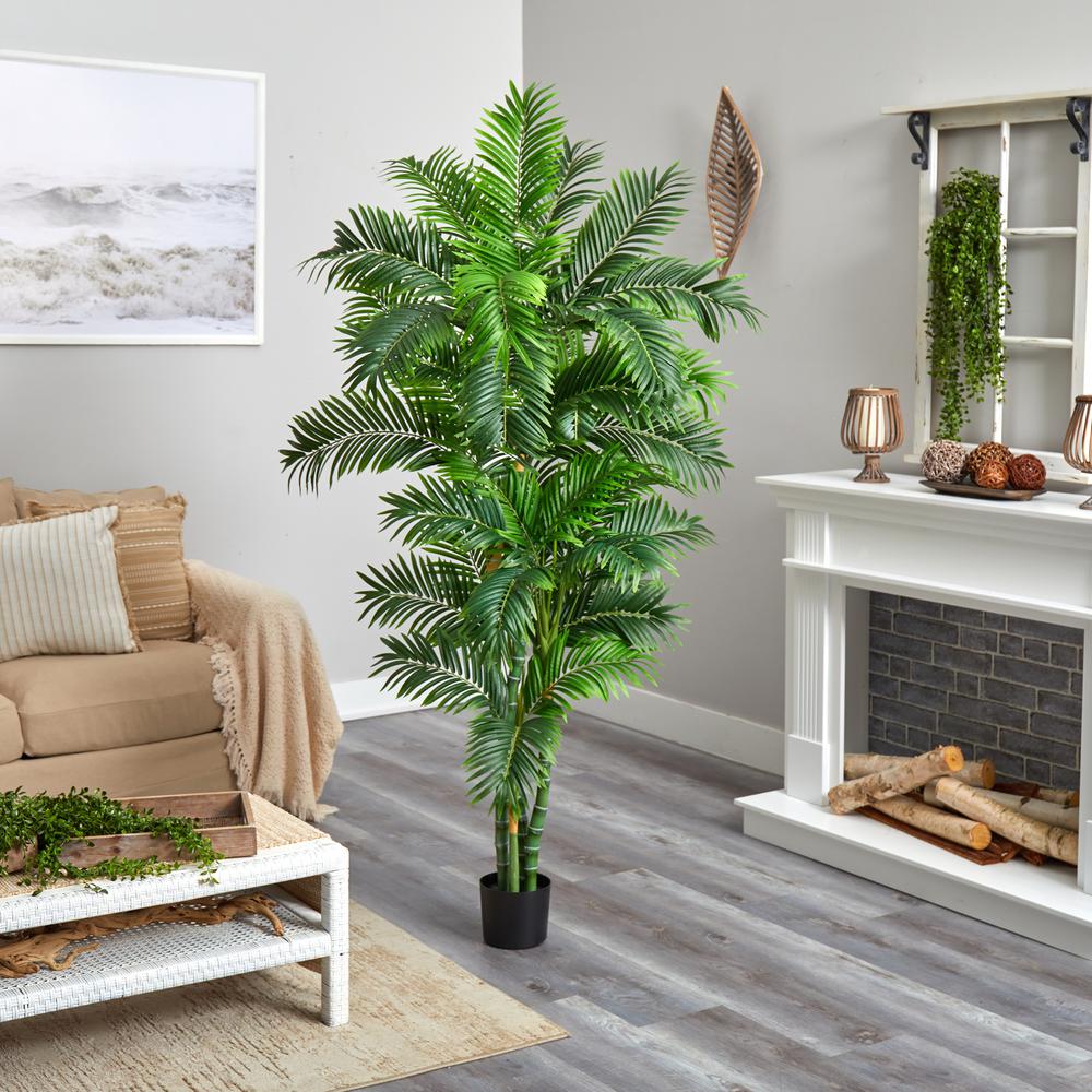 6ft. Curvy Parlor Palm Silk Tree. Picture 2