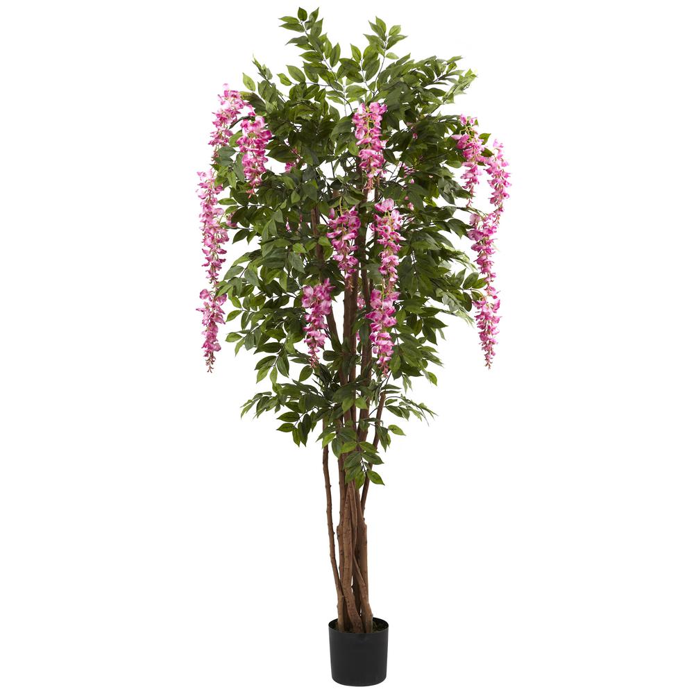 6.5ft. Wisteria Silk Tree. Picture 1
