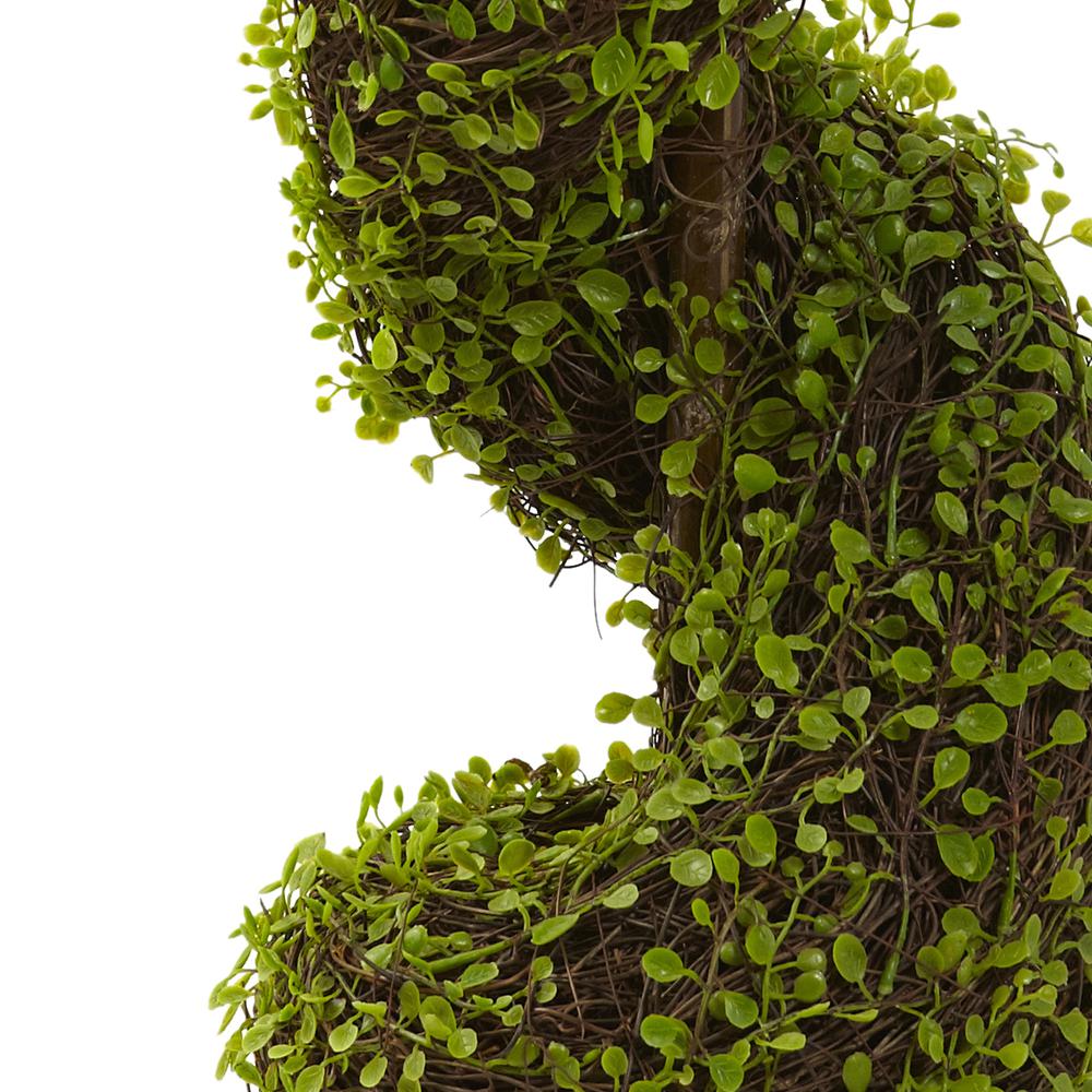 4ft. Mohlenbechia Spiral Tree. Picture 2