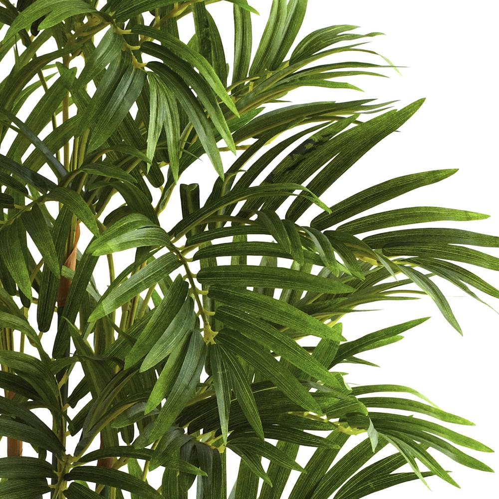 3ft. Areca Palm Tree. Picture 4