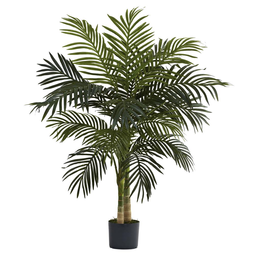 4ft. Golden Cane Palm Tree. Picture 1