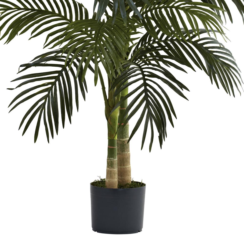 4ft. Golden Cane Palm Tree. Picture 2