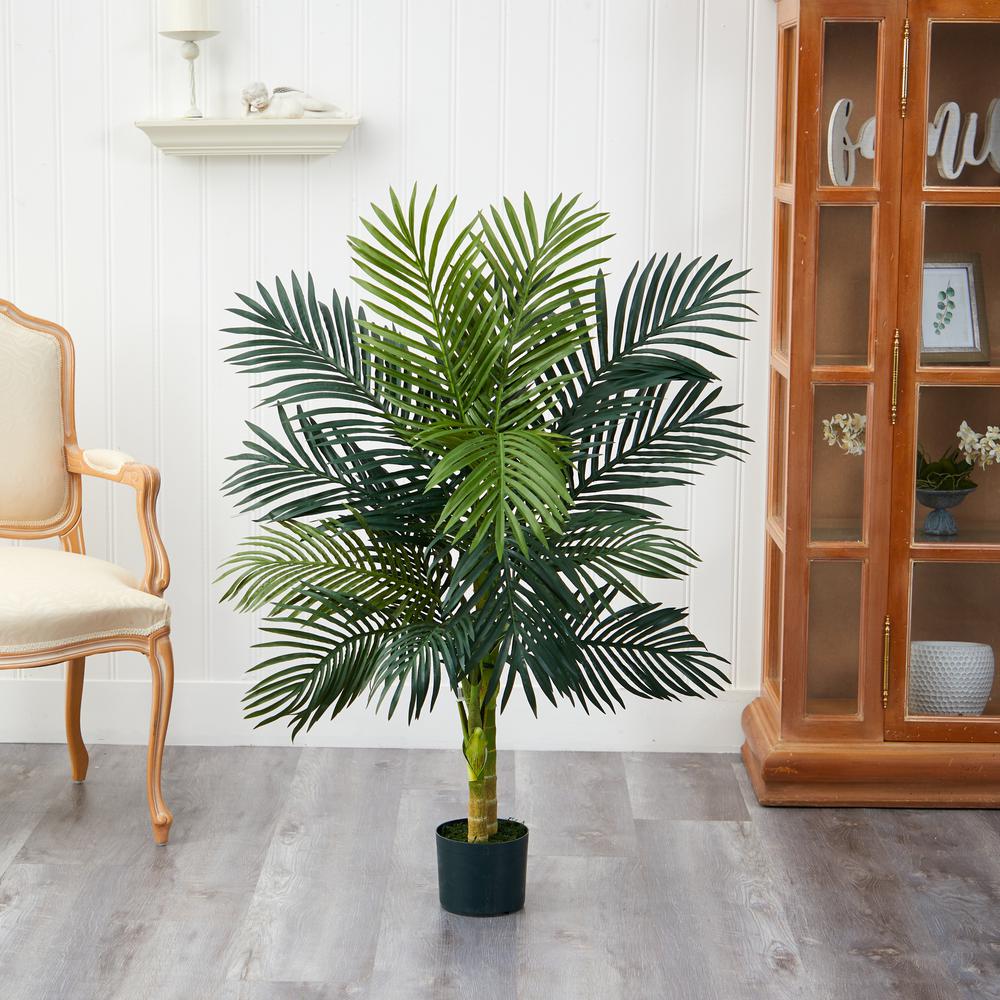 4ft. Golden Cane Palm Tree. Picture 5
