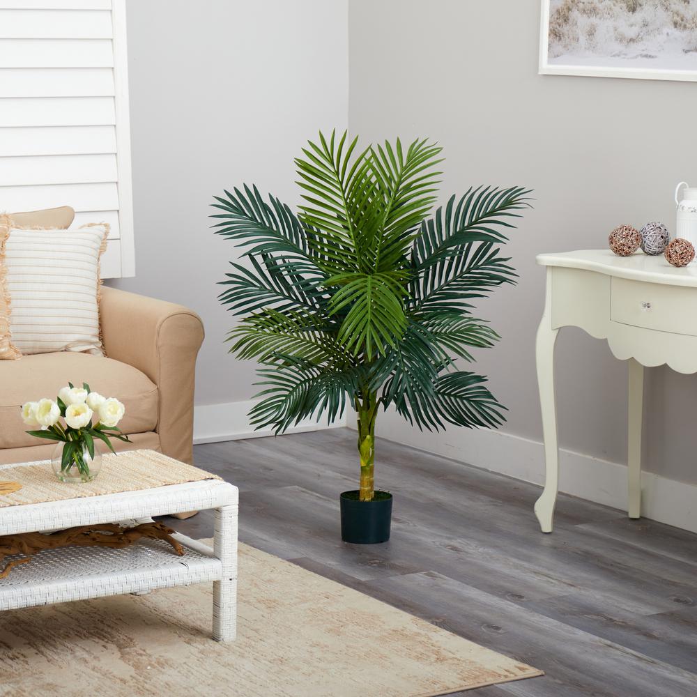 4ft. Golden Cane Palm Tree. Picture 3