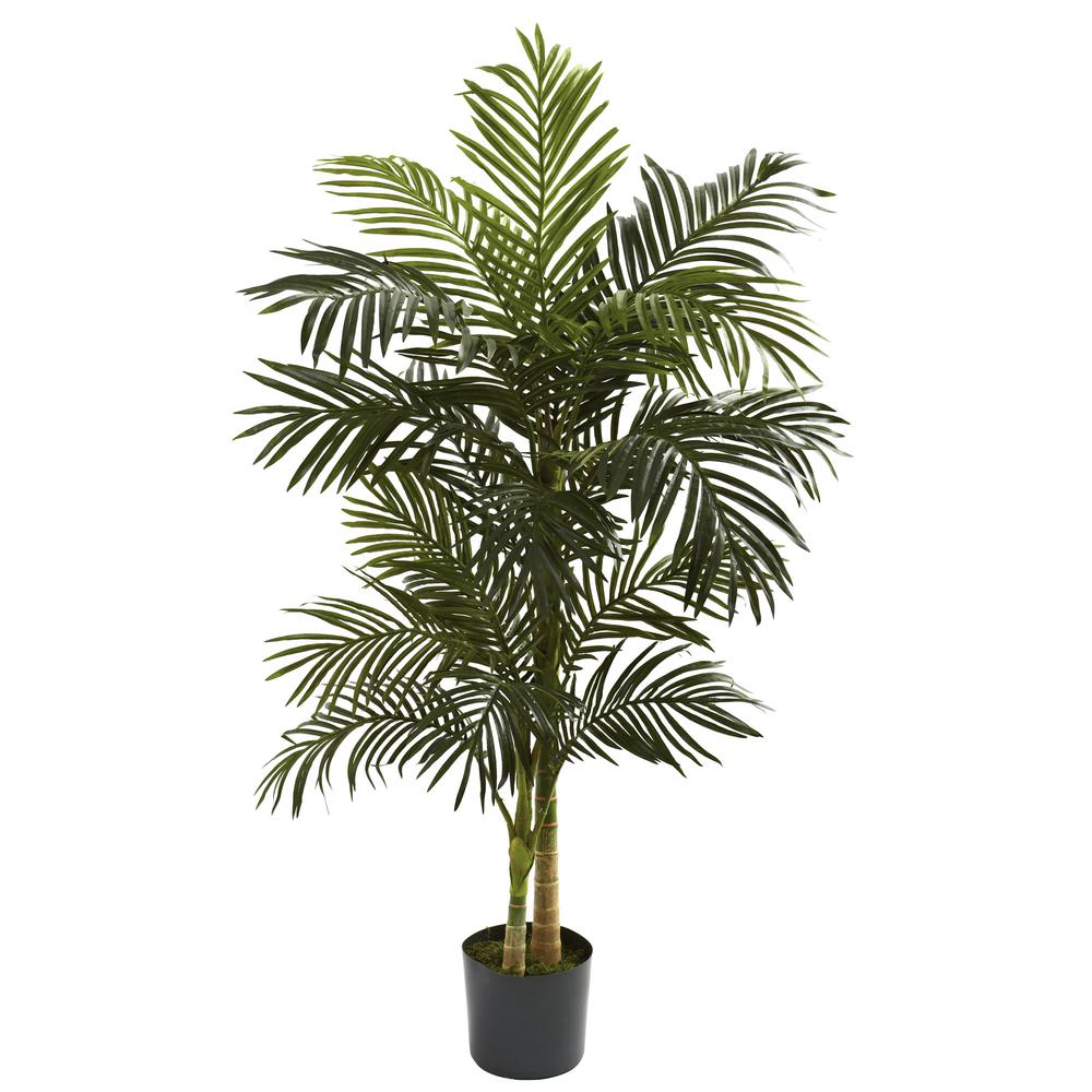 5ft. Golden Cane Palm Tree. Picture 1